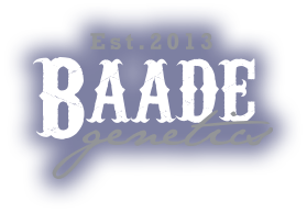 Baade Genetics